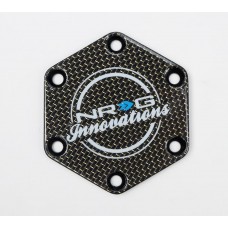 HORN DELETE PLATES CARBON FIBER - CARBON FIBER-CG